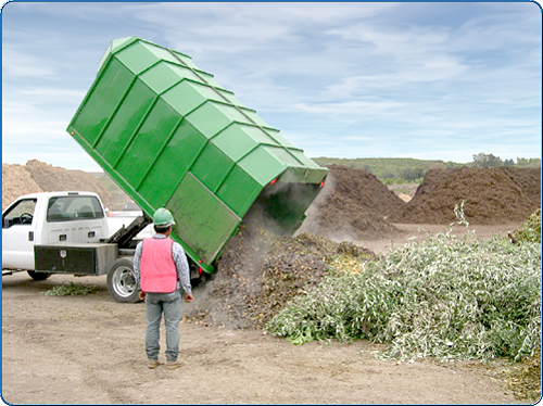 These green waste materials are blown into the back of this truck by a large chipping machine or by the workers who can put in large tree branches and assorted greenery. The cloud or mist that you see at the end of the truck is actually steam from all of the plant breakdown that is already in progress.
