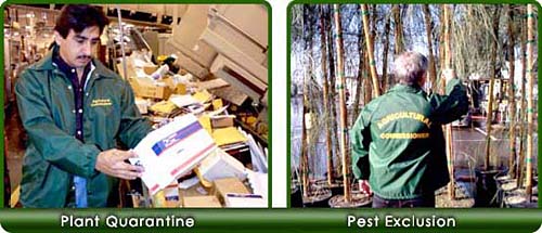 Images for Plant Quarantine & Pest Exclusion